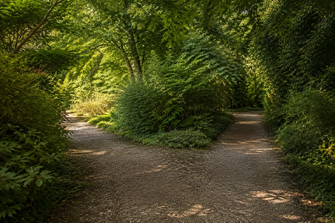 Deux allées se séparent dans un jardin arboré imaginaire, pour évoquer le choix d’un parcours.