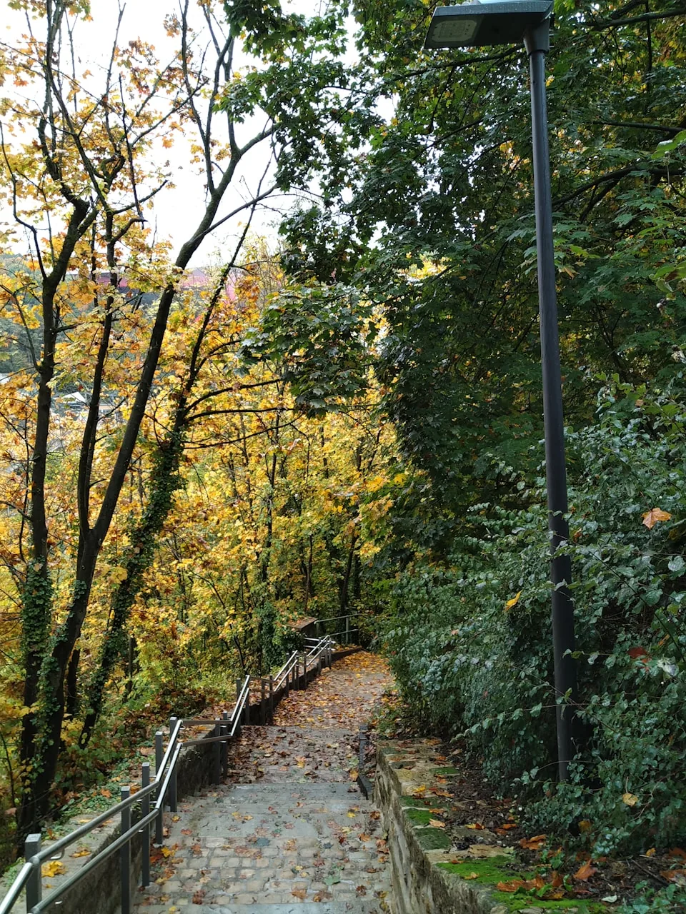 Un chemin traverse un espace arboré à Luxembourg.